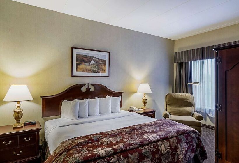 Люкс, Quality Inn & Suites Skyways
