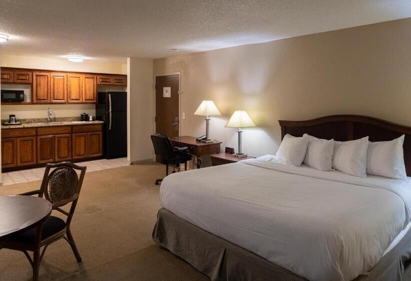 Стандартный Номер Кровать Кинг, Cottonwood Suites Savannah Hotel & Conference Center