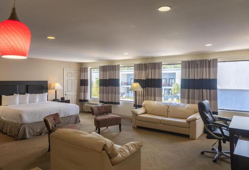Стандартный Номер Кровать Кинг, Cottonwood Suites Savannah Hotel & Conference Center