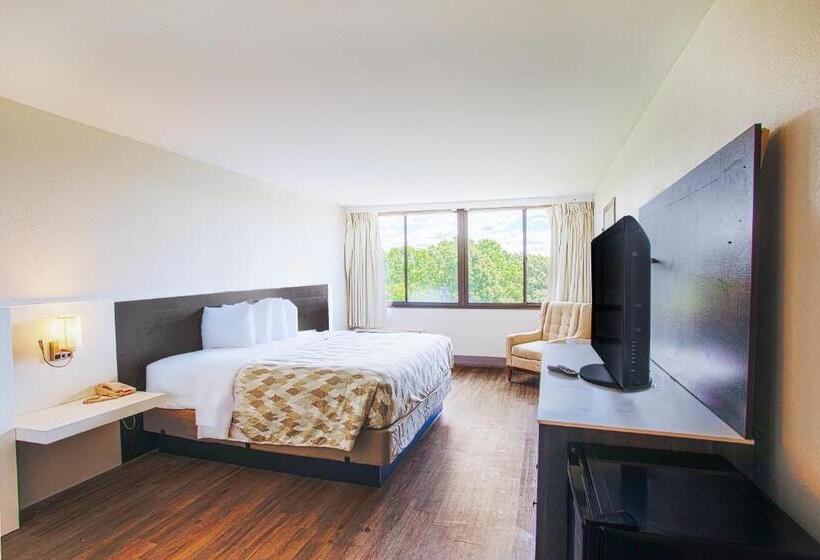 Стандартный Номер Кровать Кинг, Americas Best Value Inn Winston Salem, Nc