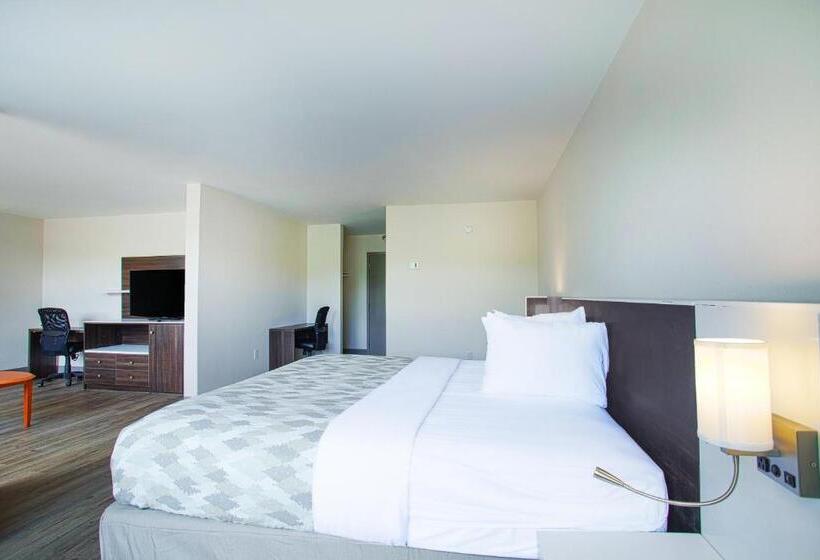 带大床的套房, Americas Best Value Inn Winston Salem, Nc