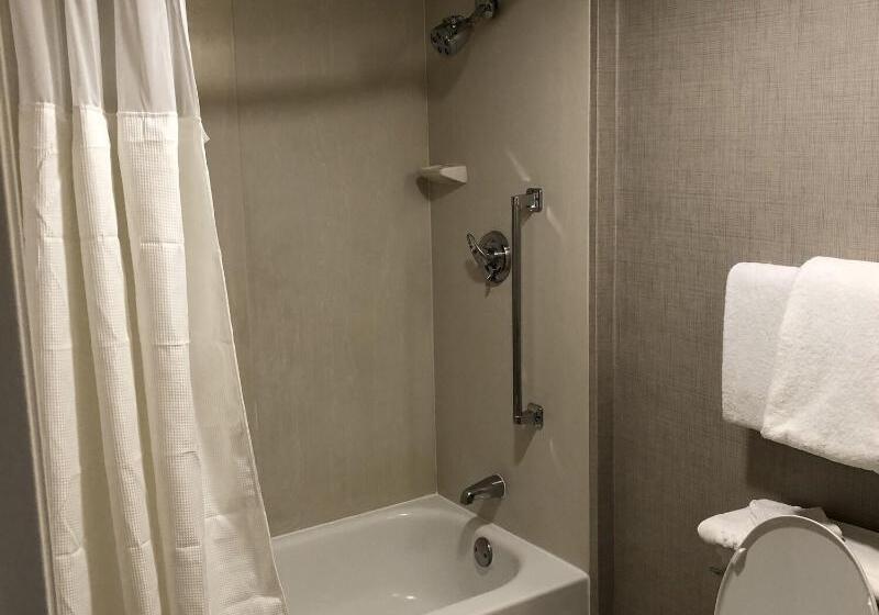 Люкс Кровать Кинг, Residence Inn By Marriott Seattle/bellevue