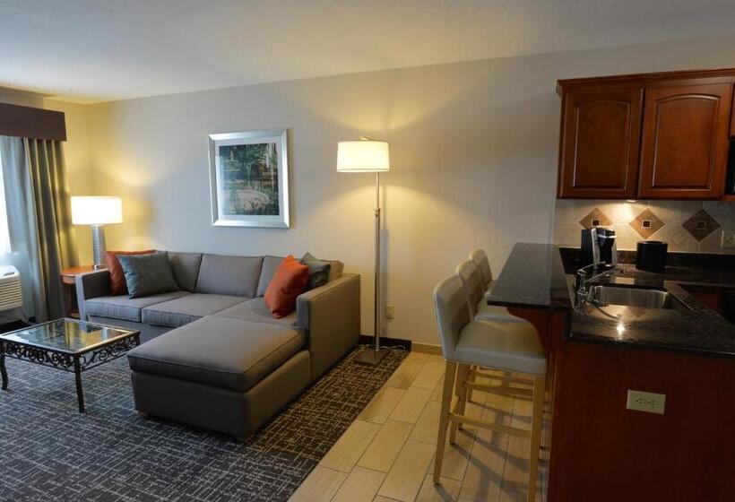 Номер Executive Кровать Кинг, Holiday Inn Hotel & Suites Minneapolis Lakeville, An Ihg