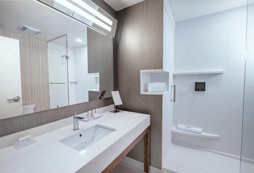 Стандартный Номер Кровать Кинг, Courtyard By Marriott Toledo West