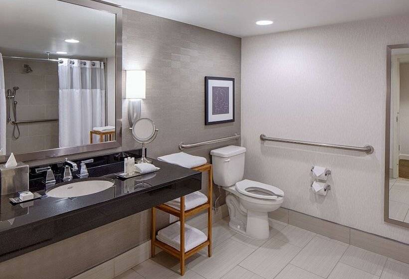 Номер Стандарт Адаптированный для Инвалидов, Doubletree By Hilton Hotel Houston   Greenway Plaza