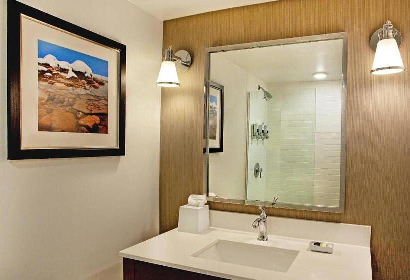 Номер Стандарт Кровать Квин Адаптированный для Инвалидов, Four Points By Sheraton Saginaw