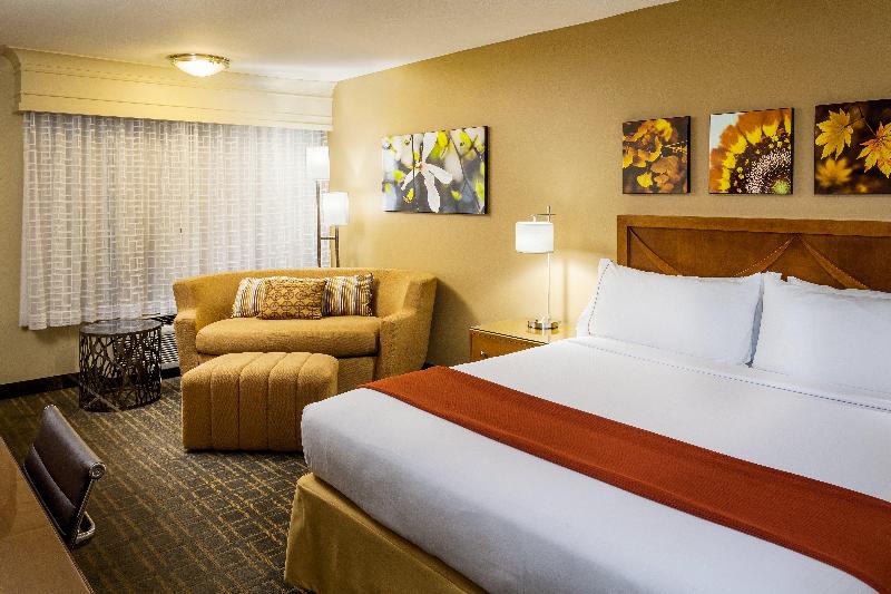 스탠다드 룸 킹사이즈 침대, Holiday Inn Express Simi Valley, An Ihg