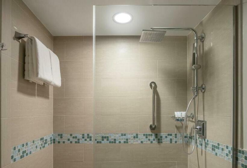 キングサイズベッドのクラシックルーム, The Westin Fort Lauderdale Beach Resort