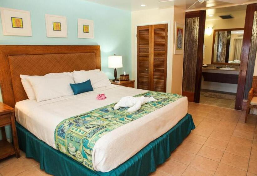 Номер Deluxe Кровать Кинг, Anegada Reef