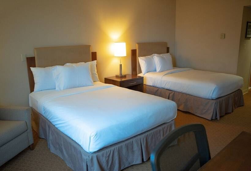 Номер Стандарт 2 Двуспальные Кровати, Delta Hotels By Marriott Toledo