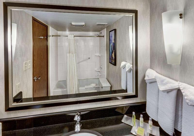 Стандартный Номер Кровать Кинг, Doubletree By Hilton Hotel Wichita Airport