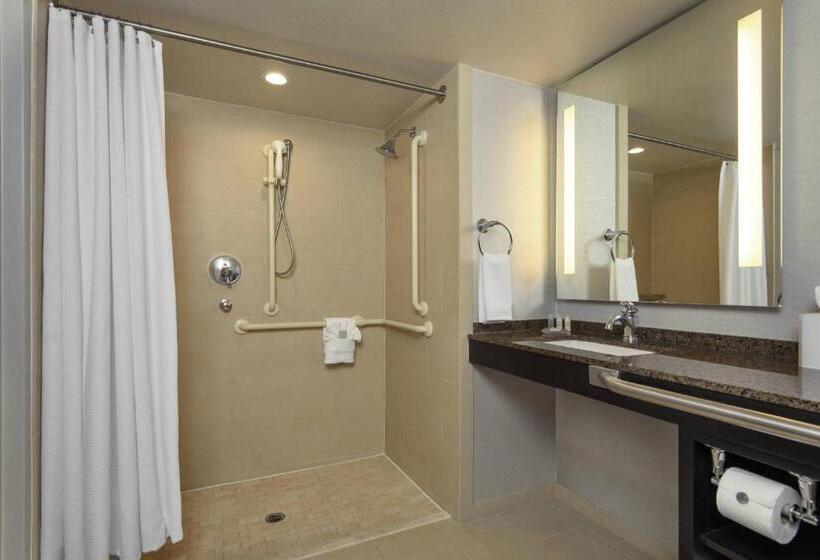 اتاق استاندارد با تخت بزرگ, Renaissance Palm Springs