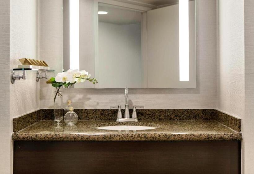 اتاق استاندارد با چشم‌انداز استخر, Renaissance Palm Springs