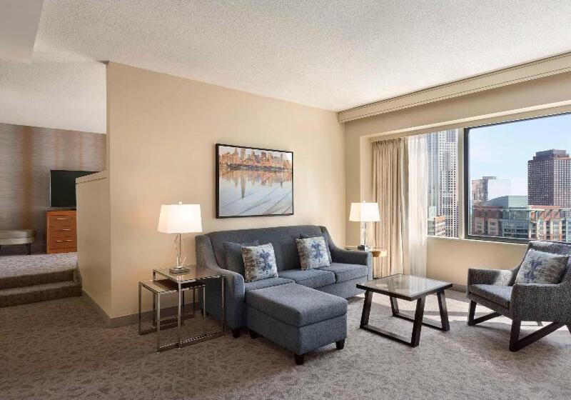 Полулюкс Кровать Кинг, Swissôtel Chicago