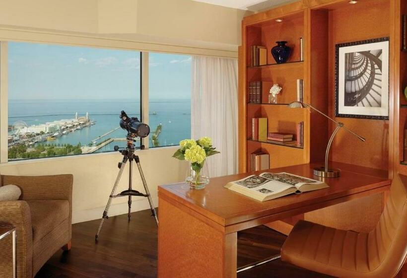 Люкс Executive Кровать Кинг, Swissôtel Chicago