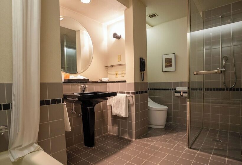 Номер Deluxe, Premier Hotel  Tsubaki  Sapporo