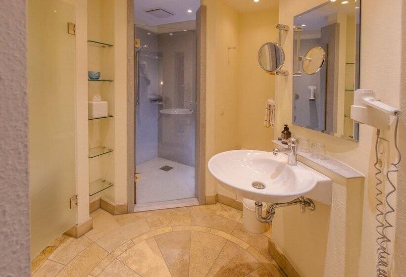 Номер Комфорт Индивидуальный, Romantik Hotel Gasthaus Rottner
