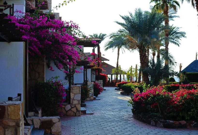 اتاق لوکس با چشم‌انداز دریا, Steigenberger Hotel & Nelson Village, Taba