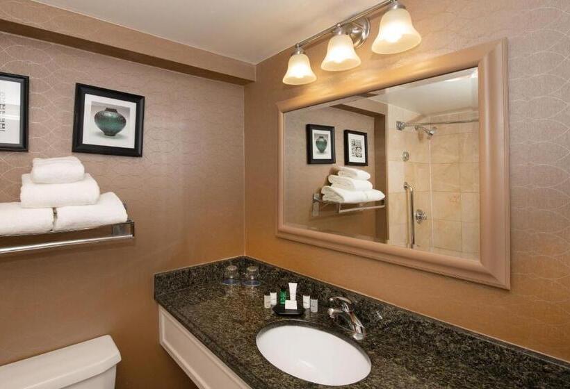 스탠다드 룸, Sheraton Hartford South