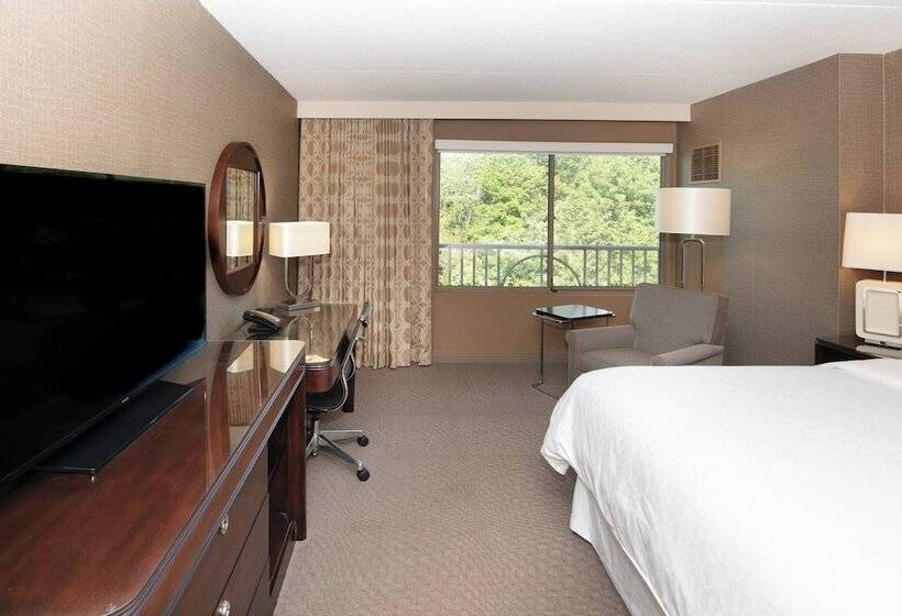 클럽 룸, Sheraton Hartford South