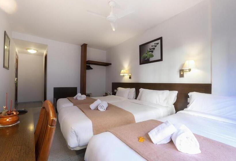 스탠다드 룸, Insitu Eurotel Andorra
