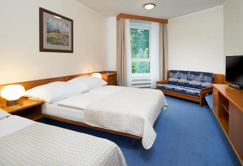 Люкс, Wellness Hotel Svornost