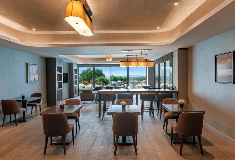 クラブスイート, Renaissance Polat Istanbul
