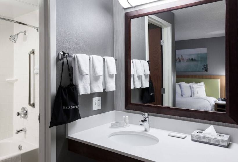 套房, Springhill Suites By Marriott Boise Parkcenter