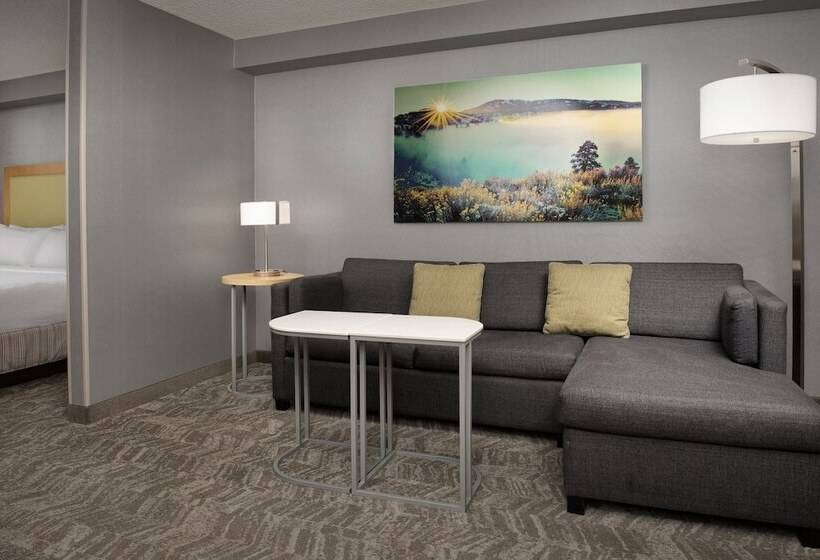 スイート, Springhill Suites By Marriott Boise Parkcenter