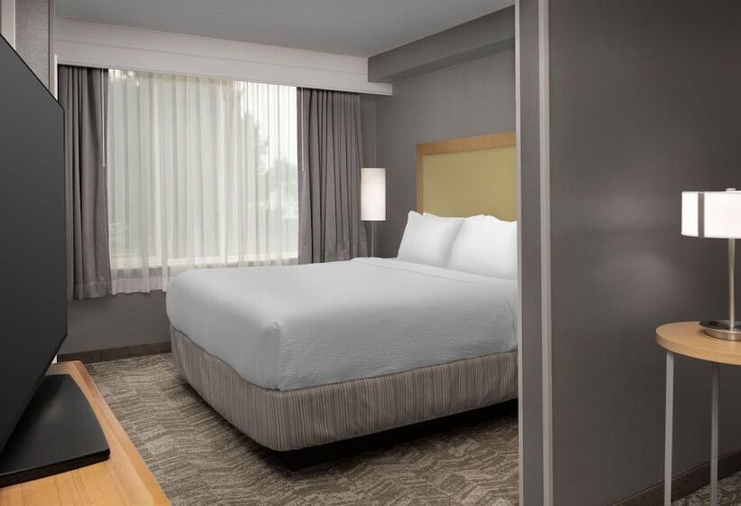 套房, Springhill Suites By Marriott Boise Parkcenter