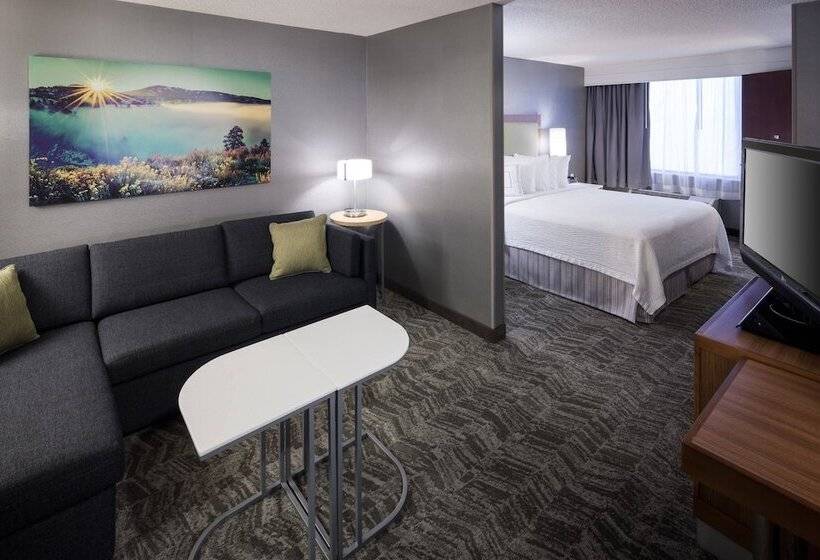 スイート, Springhill Suites By Marriott Boise Parkcenter
