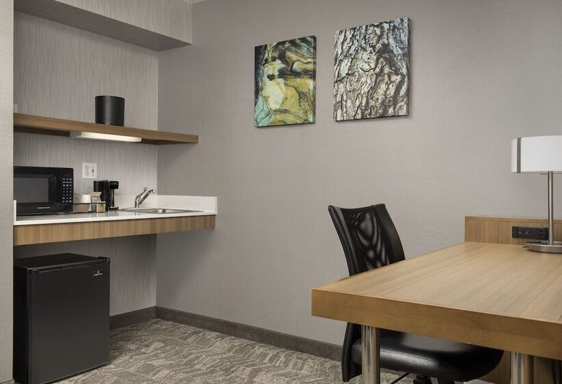 套房, Springhill Suites By Marriott Boise Parkcenter