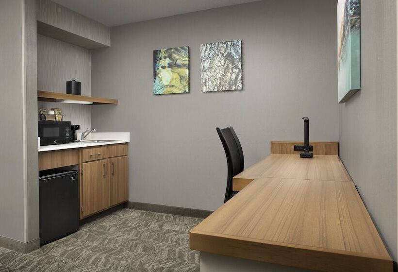 适合残疾人士使用的套间, Springhill Suites By Marriott Boise Parkcenter