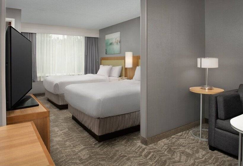 适合残疾人士使用的套间, Springhill Suites By Marriott Boise Parkcenter