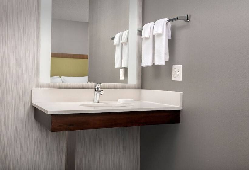 スイート, Springhill Suites By Marriott Boise Parkcenter