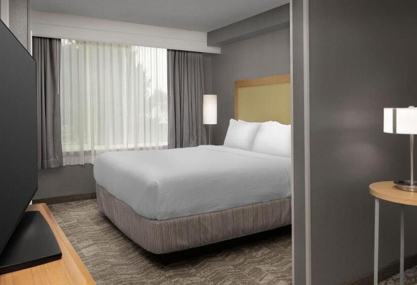 带大床的套房, Springhill Suites By Marriott Boise Parkcenter