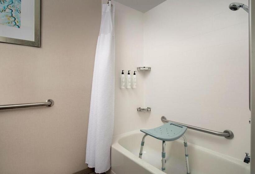 スイート, Springhill Suites By Marriott Boise Parkcenter