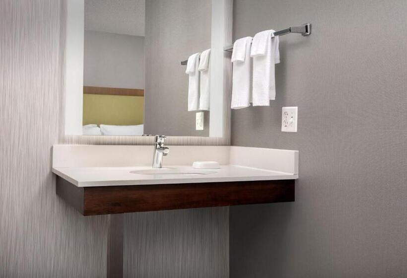 套房, Springhill Suites By Marriott Boise Parkcenter