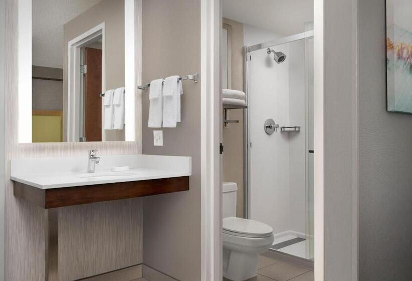 适合残疾人士使用的套间, Springhill Suites By Marriott Boise Parkcenter