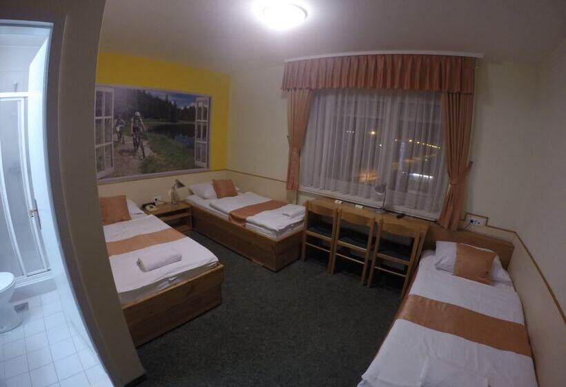 اتاق استاندارد سه نفره, Tabor Maribor
