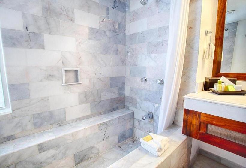 اتاق استاندارد با تخت بزرگ, Vamar Vallarta Marina & Beach Resort