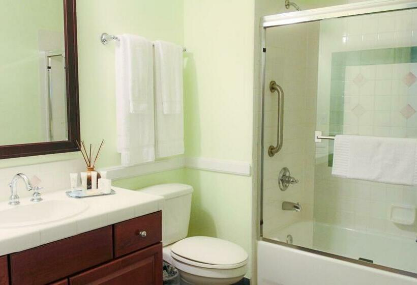 Appartamento 1 Camera da Letto, Hilton Vacation Club Grand Beach Orlando