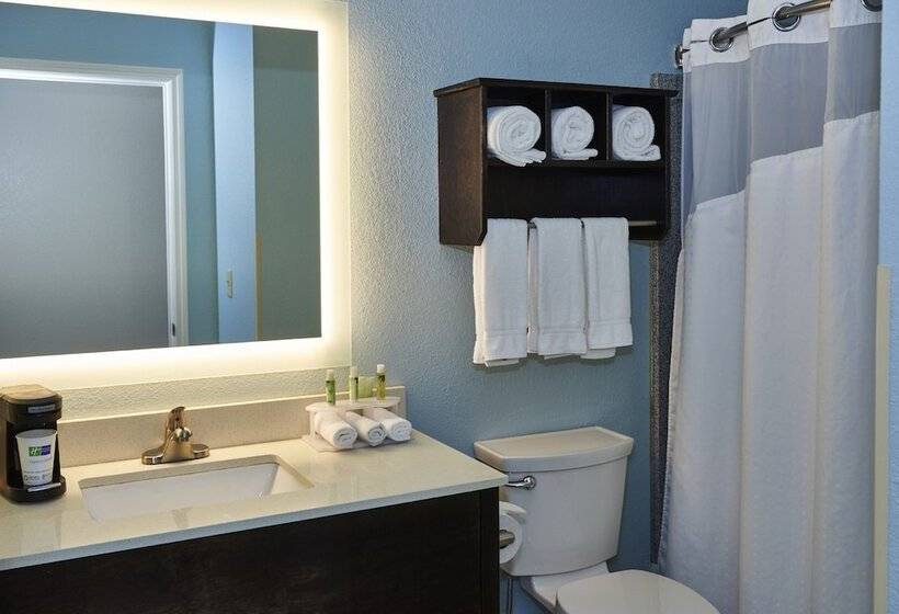 Номер Стандарт, Holiday Inn Express & Suites Birmingham South   Pelham, An Ihg