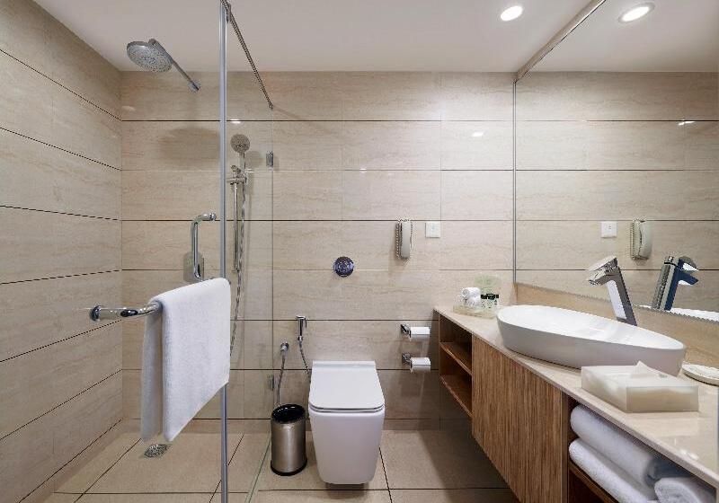 Номер Executive, Novotel Orléans Saintjeandebraye