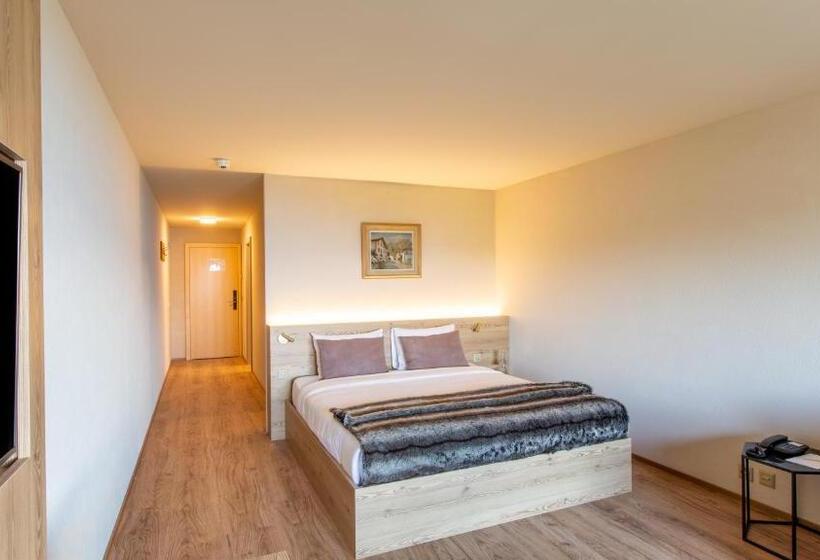 Номер Стандарт, Viu Hotel Villars