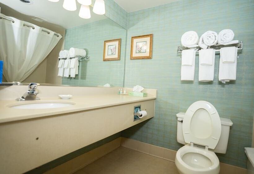 带2个双人床的标准工作室, Clarion Hotel & Suites Convention Center Fredericksburg