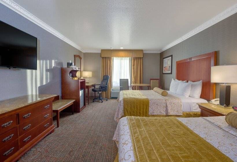 이그제큐티브 룸, Best Western Plus Newport Mesa Inn