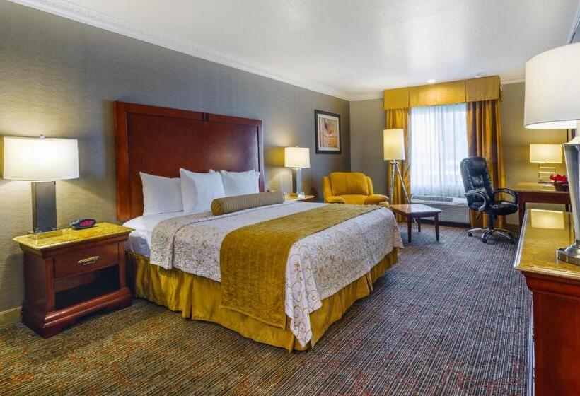 이그제큐티브 룸 킹사이즈 침대, Best Western Plus Newport Mesa Inn