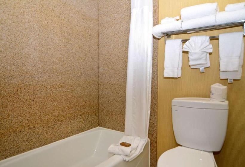 스탠다드 룸 킹사이즈 침대, Best Western Plus Newport Mesa Inn