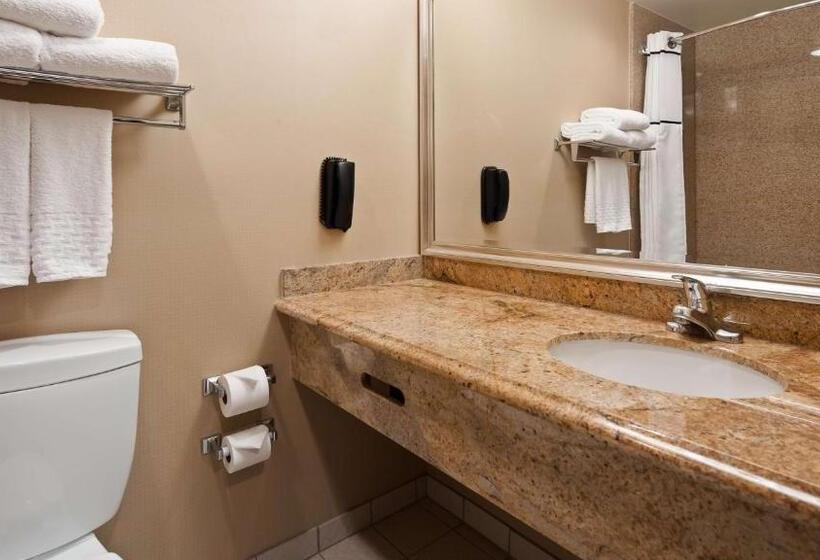 스탠다드 룸 킹사이즈 침대, Best Western Plus Newport Mesa Inn